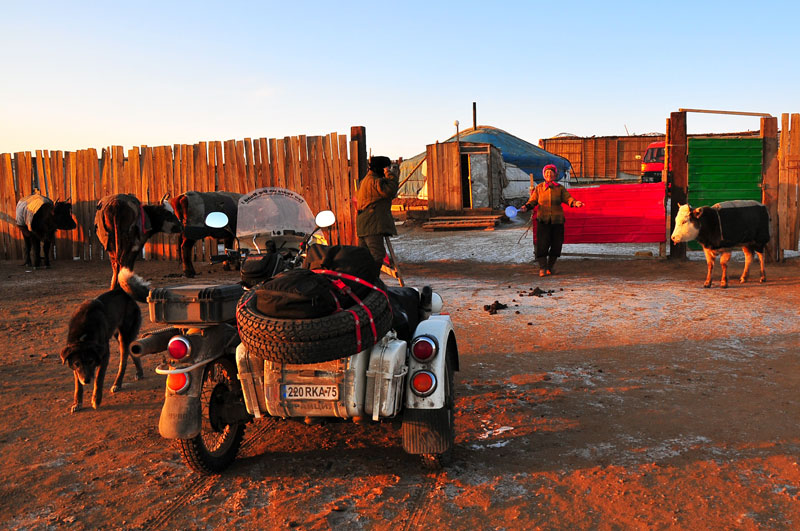 Mongolie